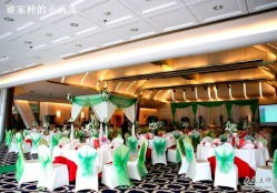 倩怡幸福專線婚慶禮儀服務中心 漕寶路上的專業禮儀慶典專家